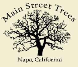 MainStreetTrees's retina logo